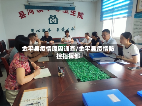 金平县疫情原因调查/金平县疫情防控指挥部-第2张图片