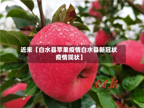 近来【白水县苹果疫情白水县新冠状疫情现状】-第3张图片