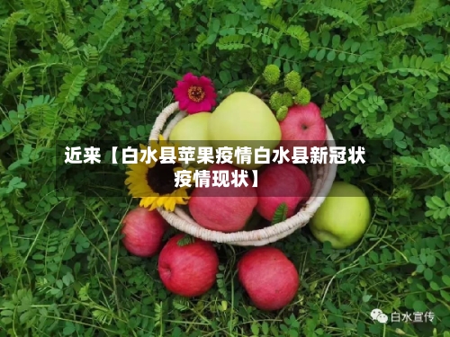 近来【白水县苹果疫情白水县新冠状疫情现状】