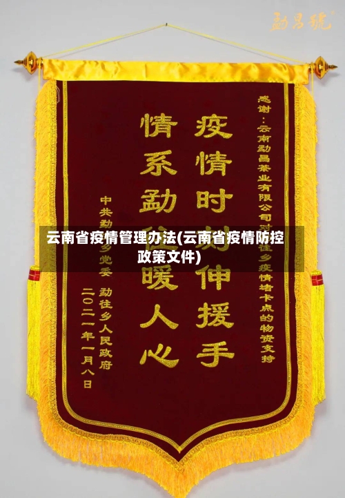 云南省疫情管理办法(云南省疫情防控政策文件)-第3张图片