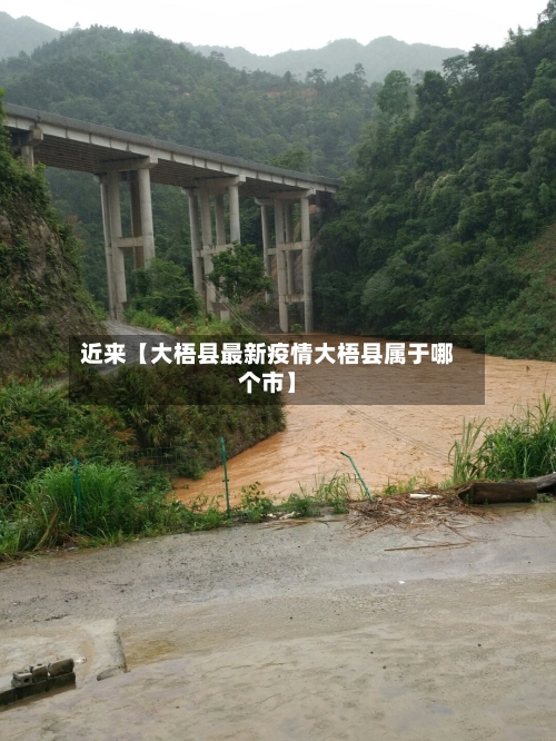 近来【大梧县最新疫情大梧县属于哪个市】