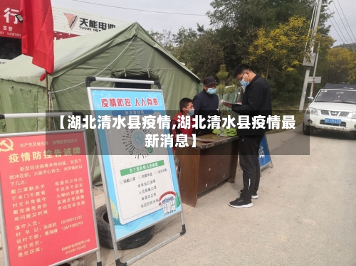 【湖北清水县疫情,湖北清水县疫情最新消息】