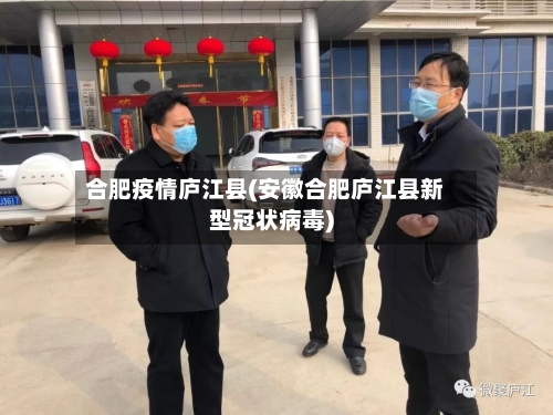 合肥疫情庐江县(安徽合肥庐江县新型冠状病毒)-第2张图片