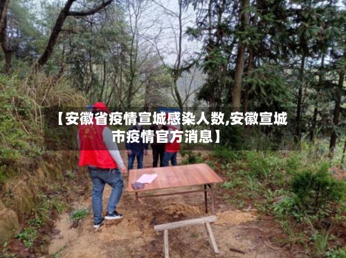 【安徽省疫情宣城感染人数,安徽宣城市疫情官方消息】